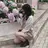 美眉スタイリング SORAMIのプロフィール画像