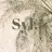 Syl. Nene