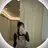 yeri koharuのプロフィール画像