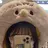 SHERRYDOLL 小平のプロフィール画像