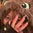 Aoi  🍩 L'ねいるのプロフィール画像