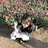 Luludi 桜花のプロフィール画像