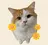 M. Harunaのプロフィール画像