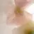 bellezza TANAKAのプロフィール画像