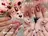アンアンBelle Nail 池袋