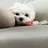 まつした あやののプロフィール画像