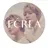 エクレア サトウのプロフィール画像