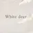 White deerのプロフィール画像