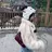 MIROHㅤ moaのプロフィール画像