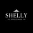 SHELLY 矢野のプロフィール画像