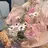 dityca asakaのプロフィール画像