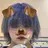 大澤 勝悟のプロフィール画像