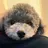 GRAND フルハシのプロフィール画像