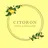 CITRON ⭐︎のプロフィール画像