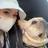 RiLion💗 Risa🦋💜のプロフィール画像
