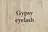 Gypsy eyelashのプロフィール画像