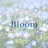 Bloom hiinaのプロフィール画像