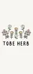 🌿ハーブピーリング TO BE HERBのプロフィール画像