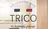 TRICO bのプロフィール画像