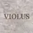 VIOLUS 関目のプロフィール画像