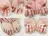 nail salon アトリエBONOのプロフィール画像