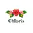 Chloris川越 光脱毛＆ワックス脱毛のプロフィール画像