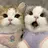 Hono Nailのプロフィール画像