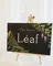leaf ゆいのプロフィール画像