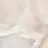 lotus_nail ⠀のプロフィール画像