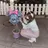 松森 小夏のプロフィール画像