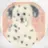 つちくら あみのプロフィール画像