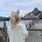 大貫 遥菜のプロフィール画像