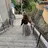 nail salon _ecre_のプロフィール画像