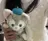 A. TORIIのプロフィール画像