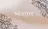 Meato'8 Micaのプロフィール画像