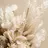 Heale Nanaのプロフィール画像