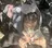ワンカラーモデル 🧸／金川なづなのプロフィール画像