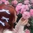 🍒カラー/メイク/ アレンジ🍒蛯名叶枝のプロフィール画像