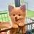 伊藤 くるみのプロフィール画像