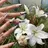 NAILS byRIOのプロフィール画像