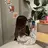 小嶋 菜央のプロフィール画像