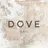 DOVE 🌷HARUNA🌷のプロフィール画像