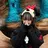 Nn-ｴﾇ- aikoのプロフィール画像