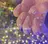 shimmer nailsのプロフィール画像