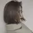 川合 優羽のプロフィール画像