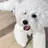 Kurehashi Yui🧸のプロフィール画像