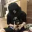 BIANCA ✴︎ ASAIのプロフィール画像