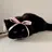 CHINAMI 🐈‍⬛🌙のプロフィール画像