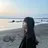 thec rioのプロフィール画像