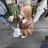 凜花 /大阪/カットのプロフィール画像